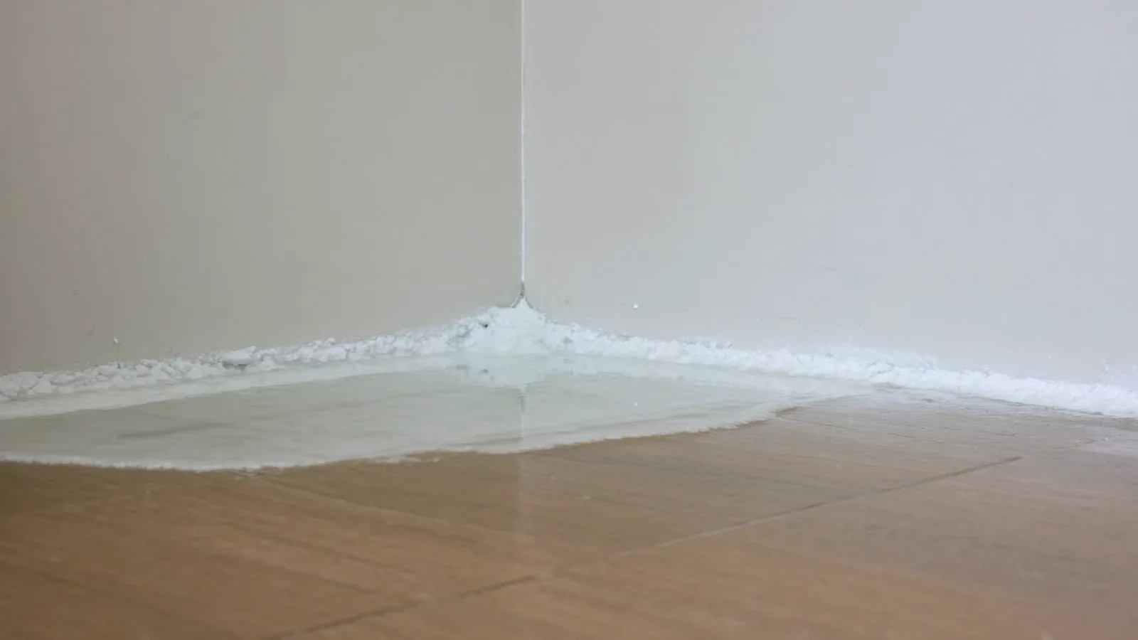 Standing water on a basement floor with wet concrete block walls in a Knoxville Tennessee home